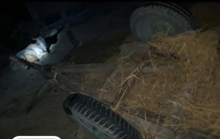 ट्रकले गोरुगाडालाई ठक्कर दिँदा एक दम्पतीको मृत्यु