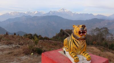 बाघको प्रतिमा