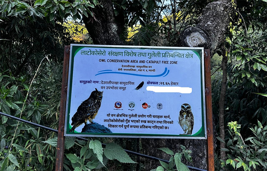 लाटोकोसेरो तथा हुचिल उत्सव