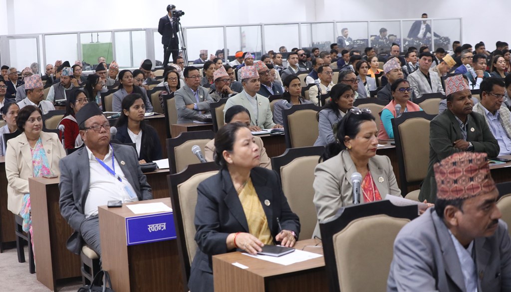 प्रतिनिधिसभा बैठक