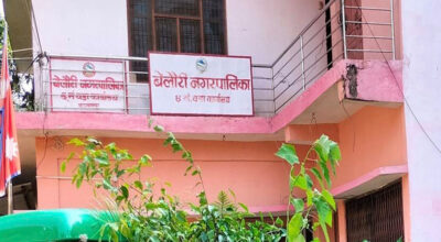 कञ्चनपुरको बेलौरी
