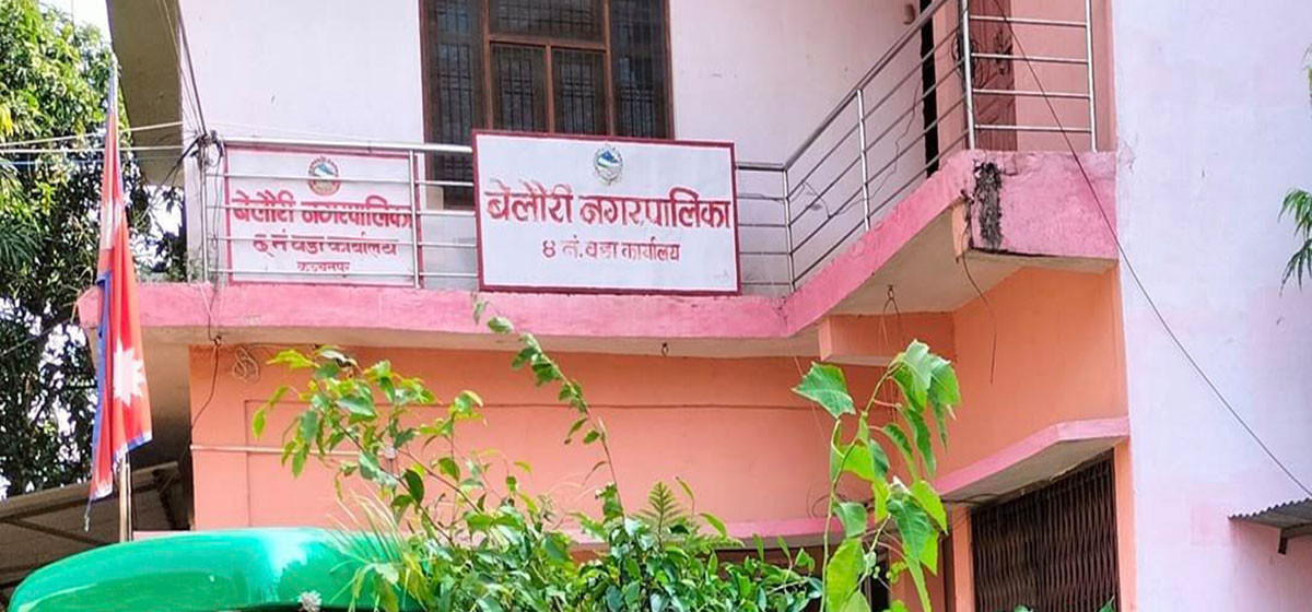 कञ्चनपुरको बेलौरी