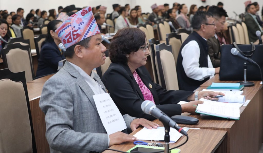 प्रतिनिधिसभामा पर्चा देखाएर श्रम संस्कृति पार्टीद्वारा विरोध प्रदर्शन