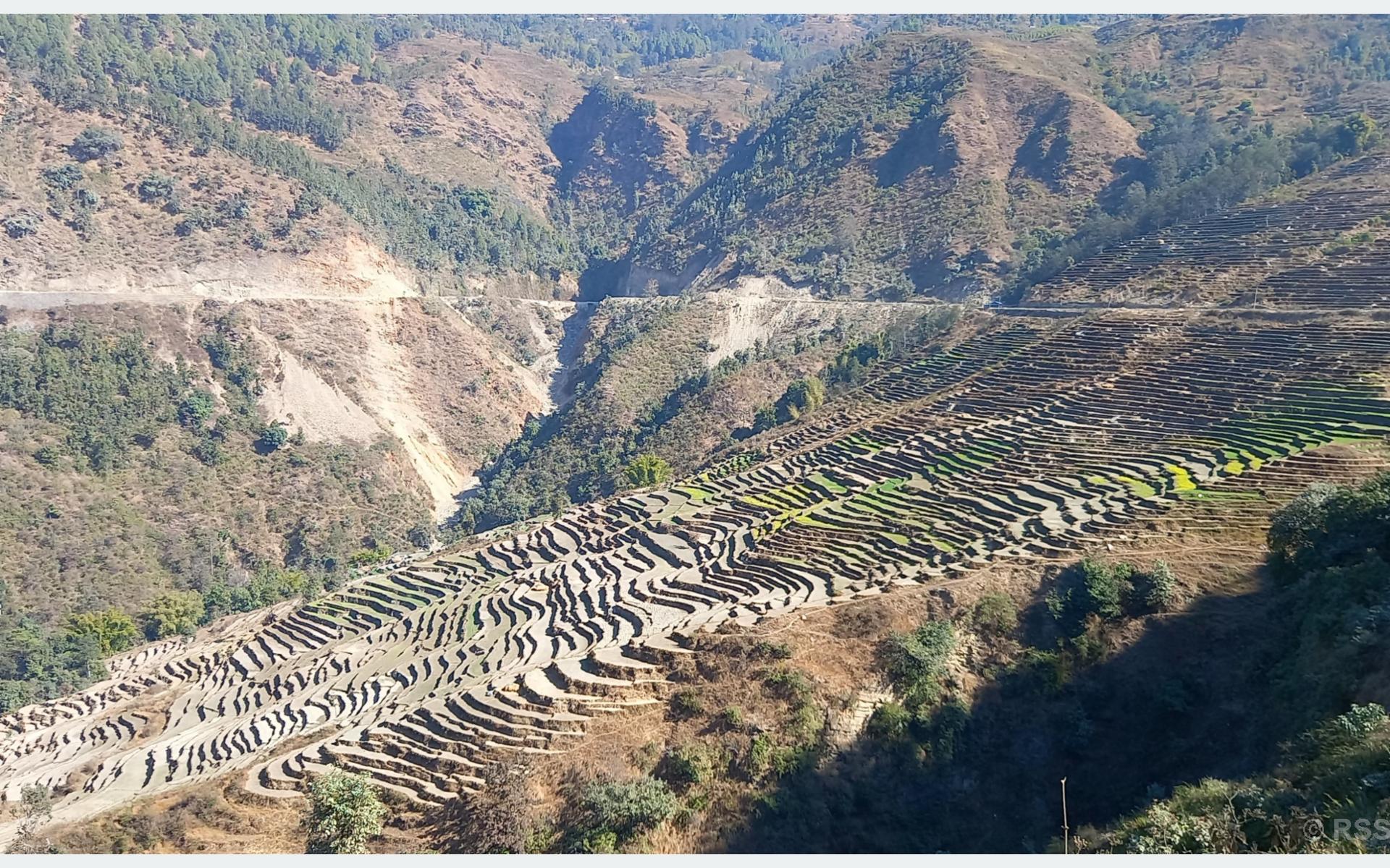 लालपुर्जाविहीन समस्या