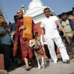 भियतनामी भिक्षु