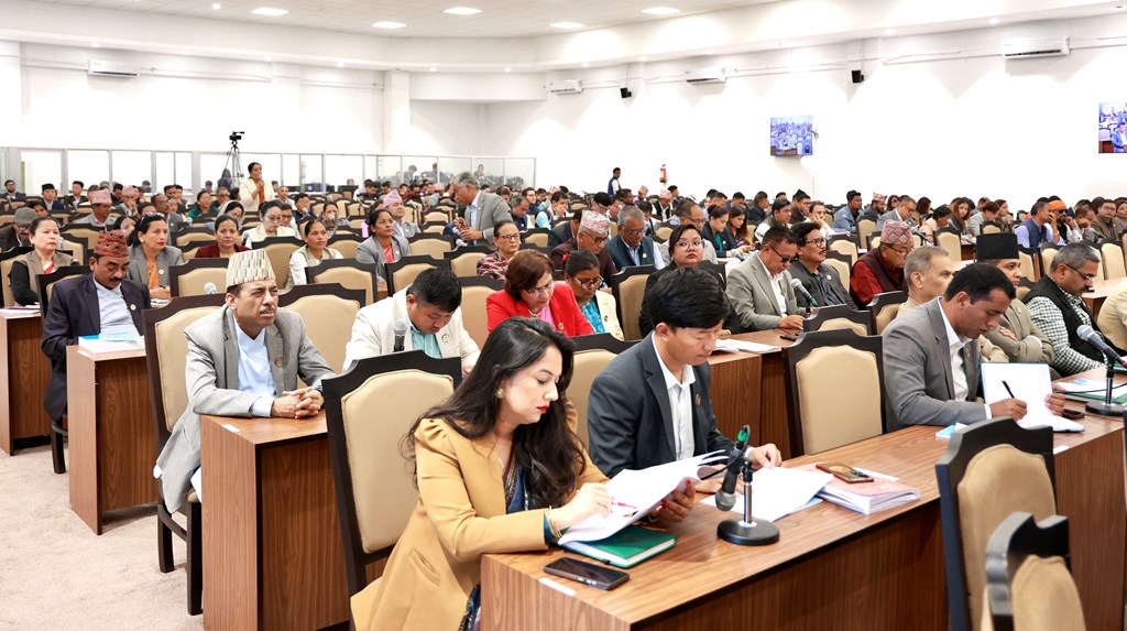 प्रतिनिधिसभा बैठकः