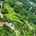 सिरदली–चौडेनी सडक स्तरोन्नति