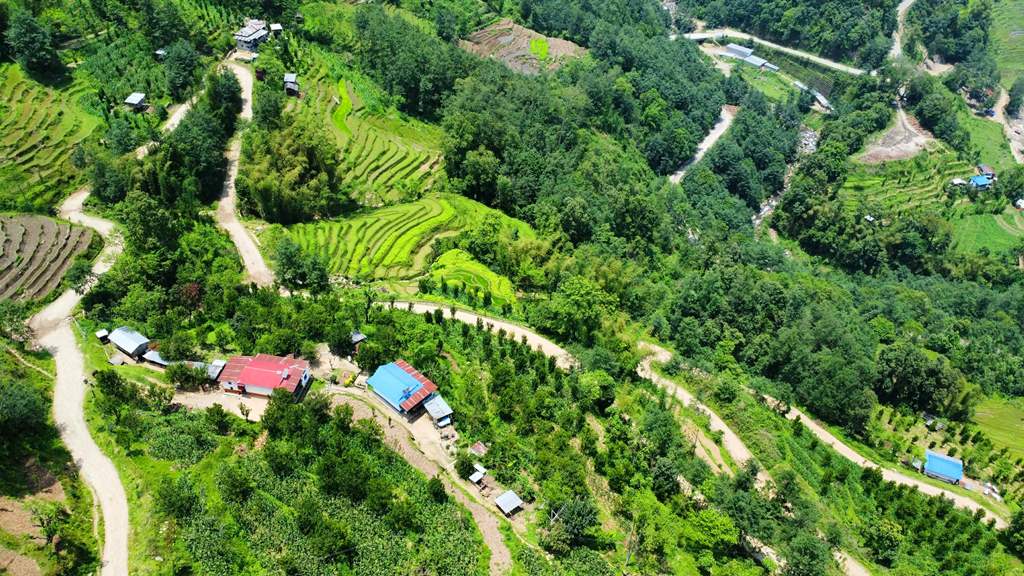 सिरदली–चौडेनी सडक स्तरोन्नति