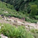 बझाङमा जिप दुर्घटना