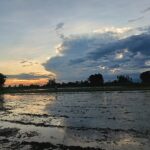 लागत बढेपछि चपेटामा किसान