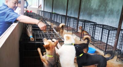 बागलुङमा कुकुरलाई ‘होस्टेल’