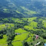 भोजपुरमा ९६ प्रतिशत रोपाइँ सम्पन्न