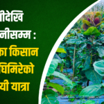 नवराज घिमिरे