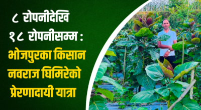 नवराज घिमिरे