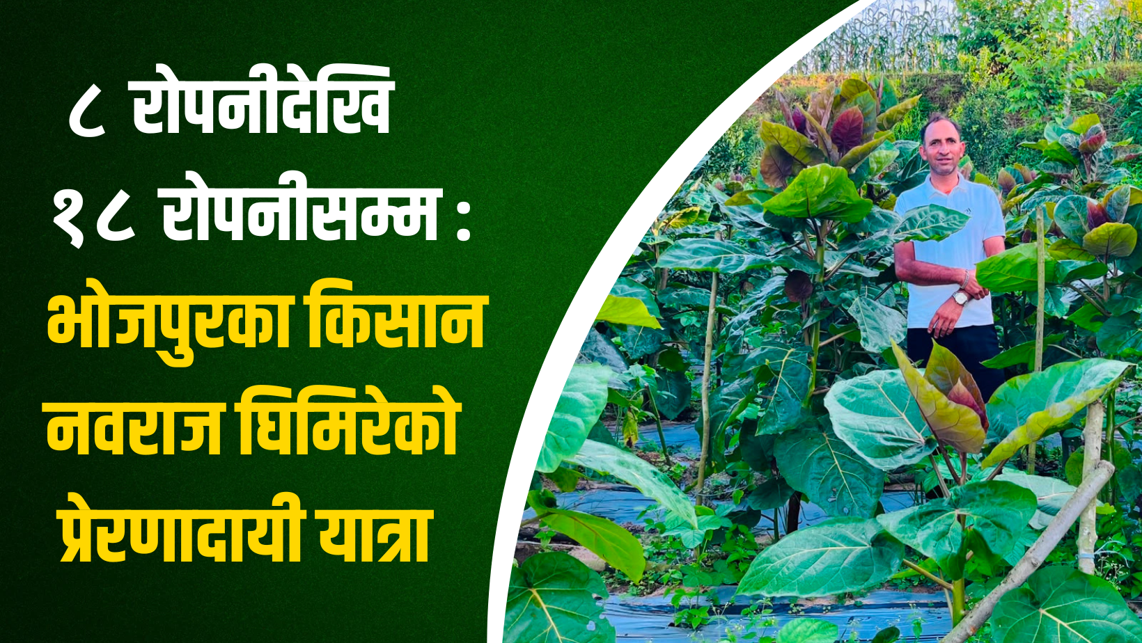 नवराज घिमिरे