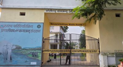 प्रचारप्रसारको अभावमा कोशी टप्पुमा विदेशी पर्यटक न्यून