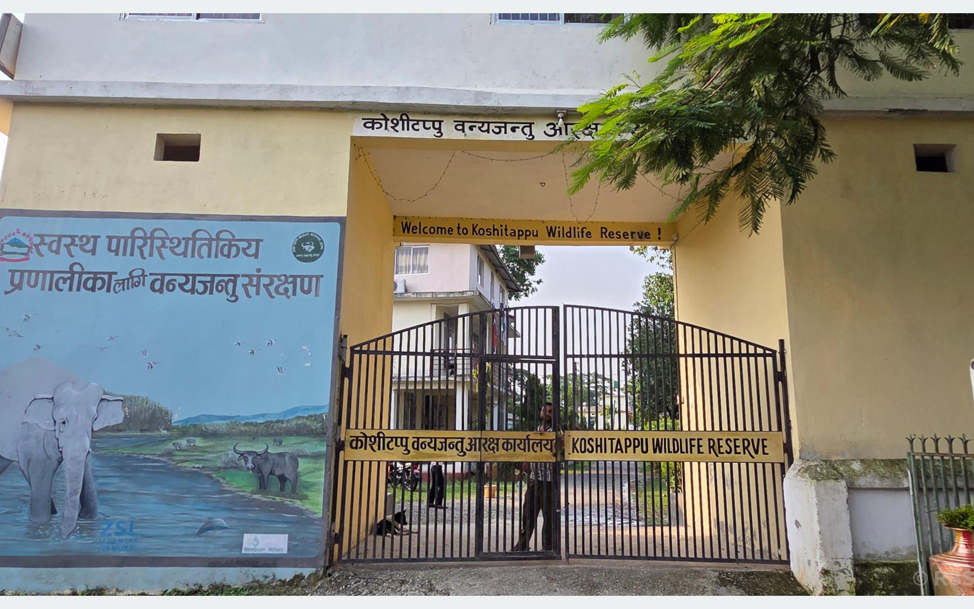 प्रचारप्रसारको अभावमा कोशी टप्पुमा विदेशी पर्यटक न्यून