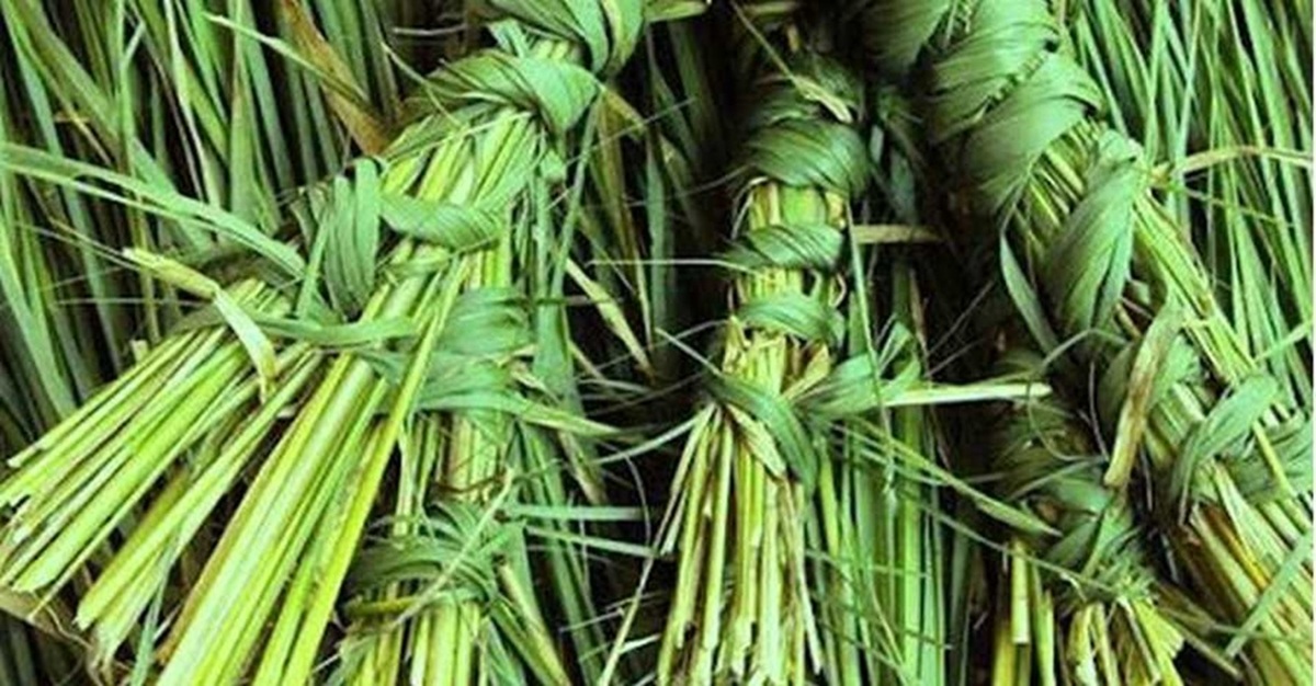 ‘कुशअमबसीया’ पर्व