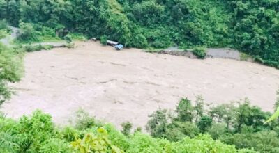 कालीगण्डकीको बाढीले मिर्मी हार्मिचौर जोड्ने बेलिब्रिज बगायो