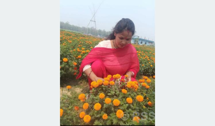 सुशीला विष्ट