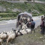 सहरको स्वादका लागि छुट्छ हिमालको दसैं-तिहार