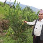 कृष्णलाल सापकोटा